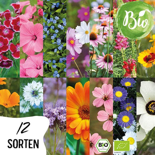 BIO Blumen Samen Set – Bunte Blumen
