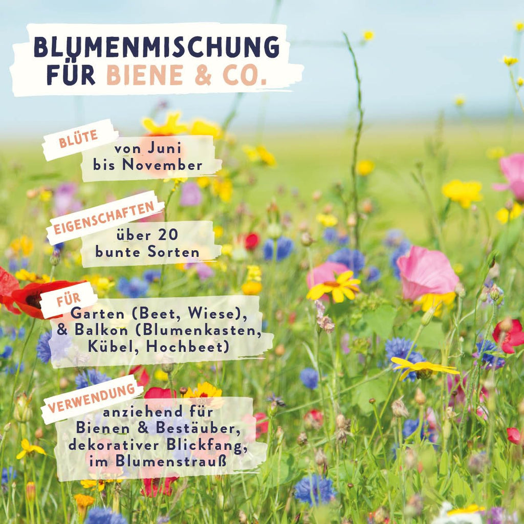 Bienen- & Schmetterlings-Zauber mini