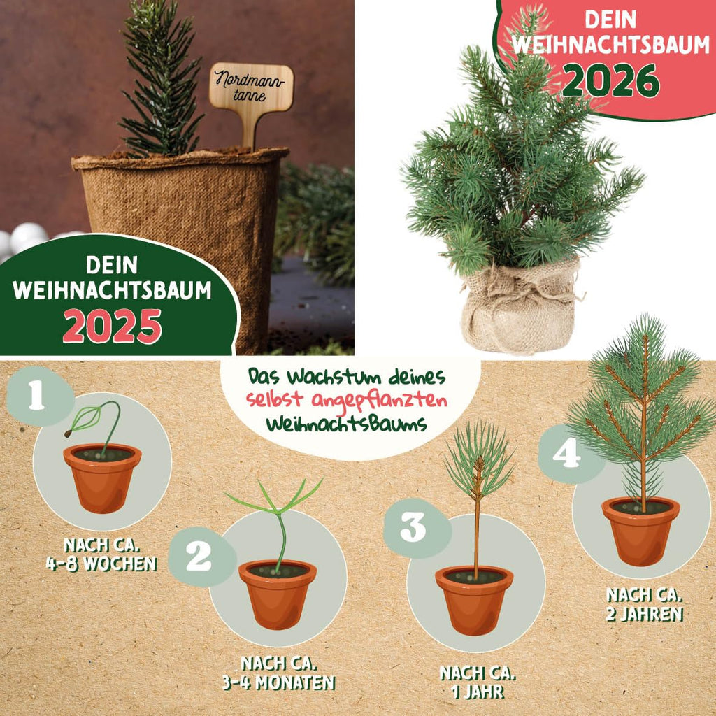 Weihnachtsbaum aus der Dose