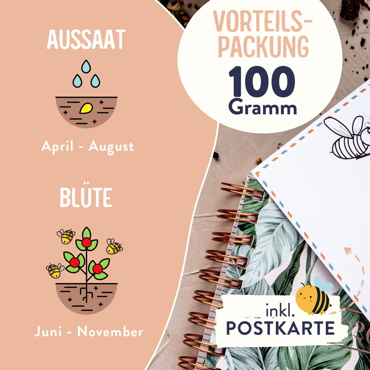Blumenwiese Samen – bienenfreundlich