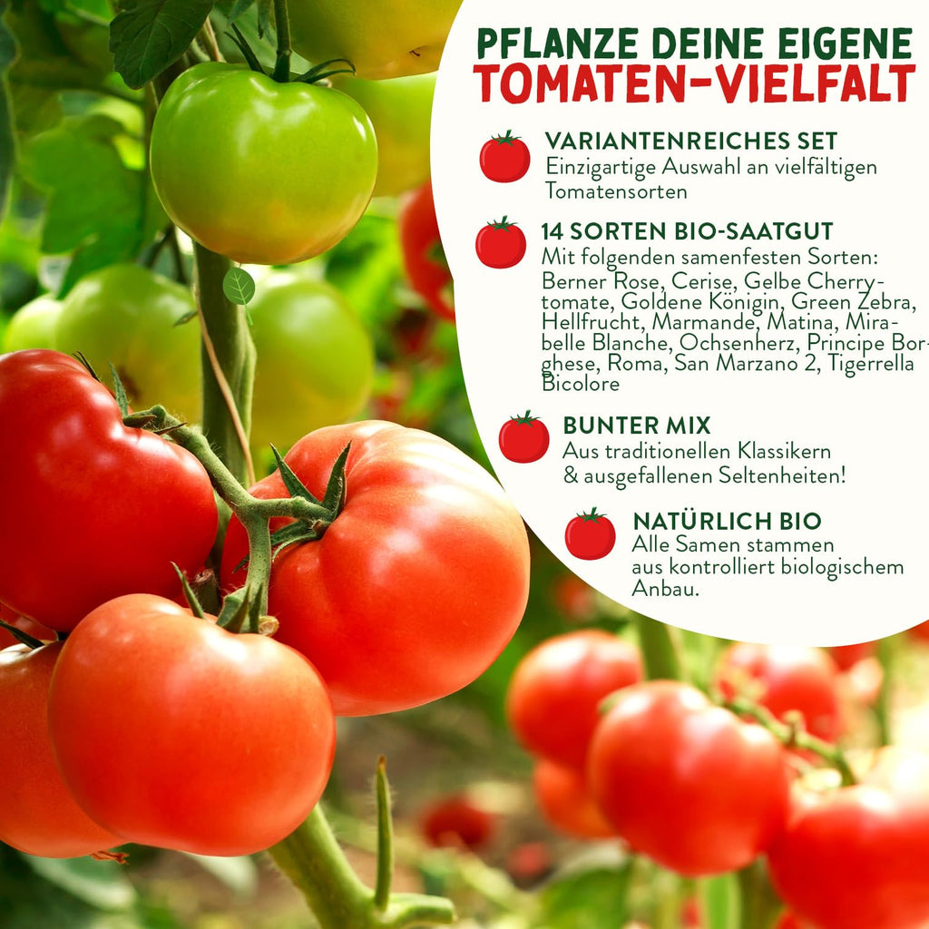 BIO Tomaten Samen Set