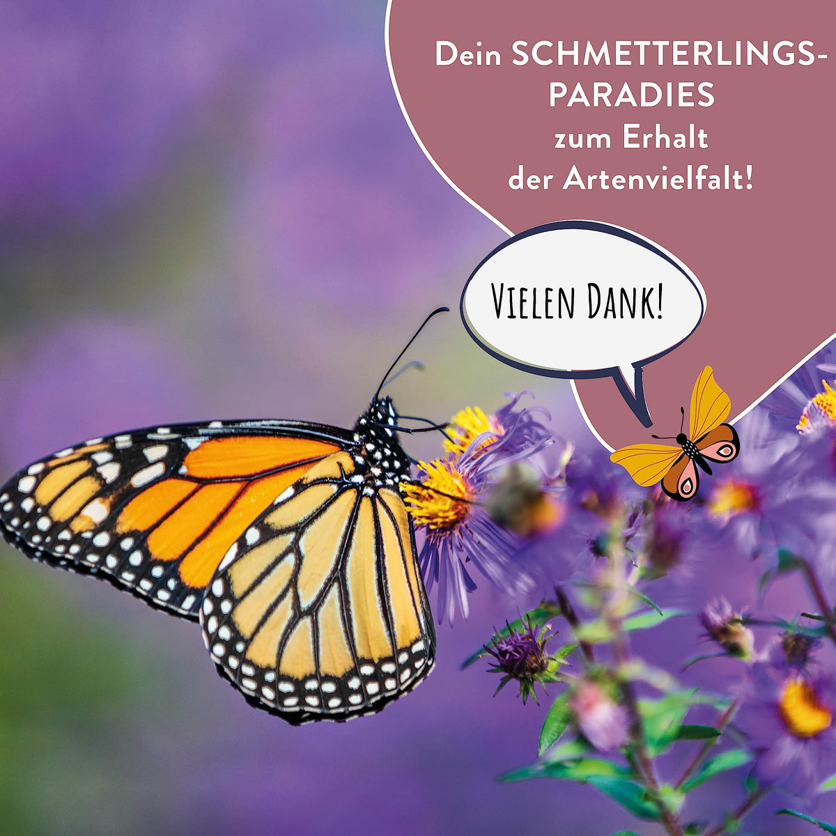 Schmetterlingswiese Samen