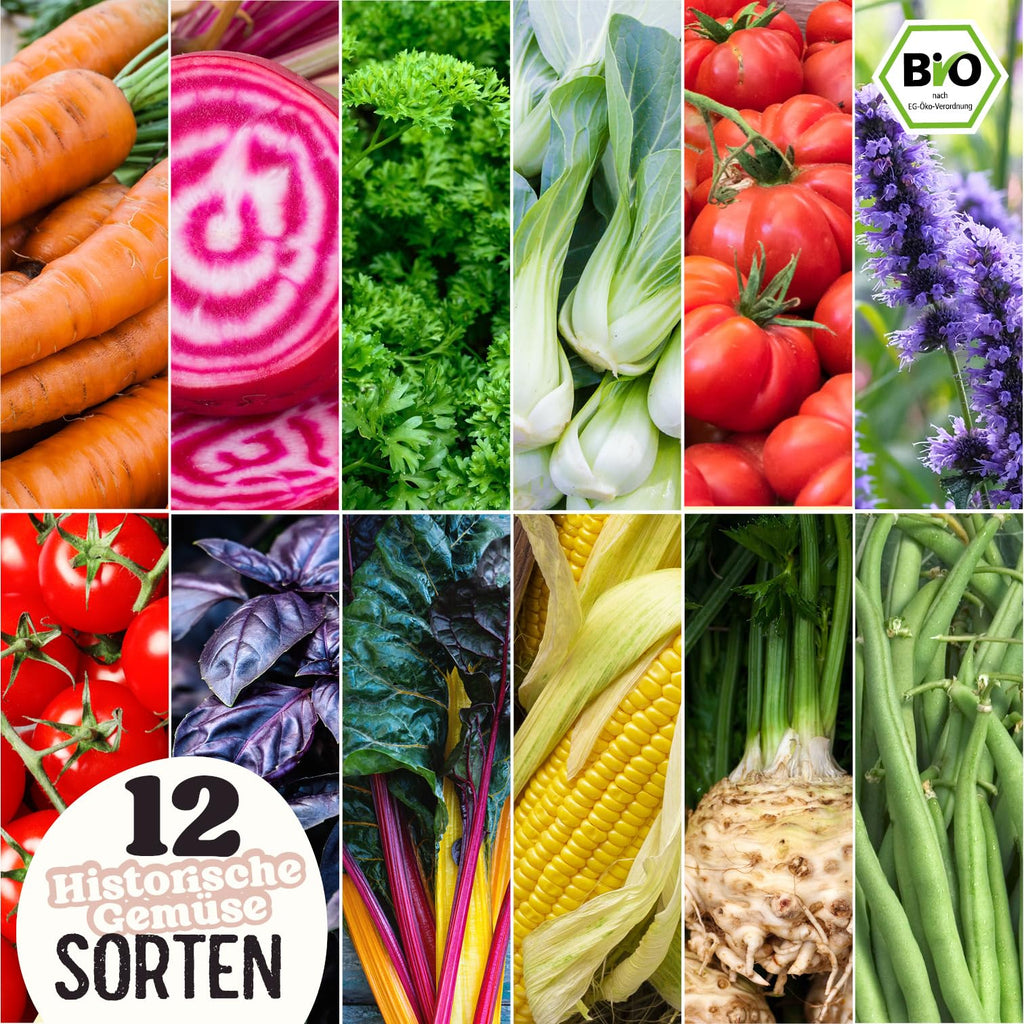 BIO Historisches Gemüse Samen Set