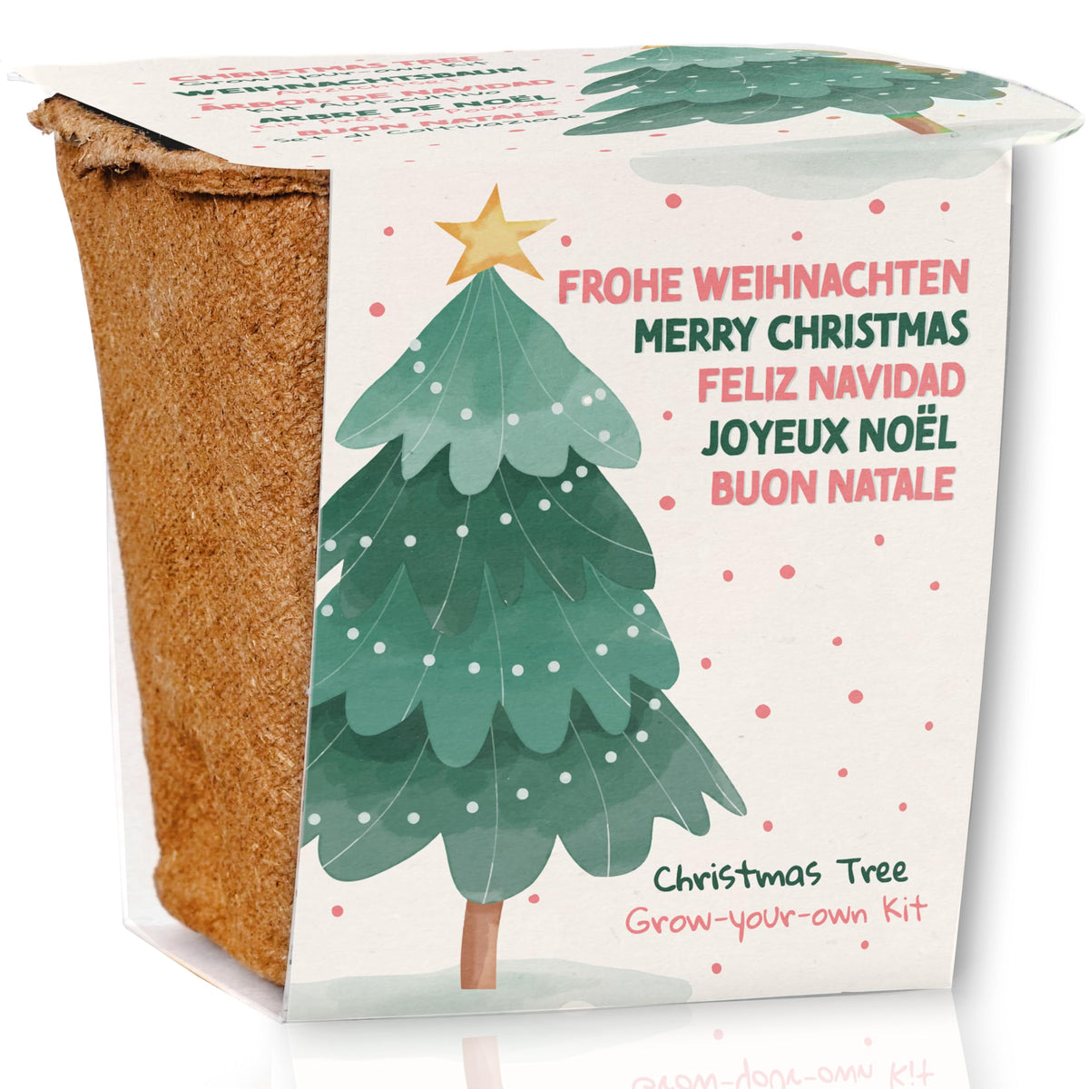 Weihnachtsbaum aus der Dose – Nordmanntanne – Design 2