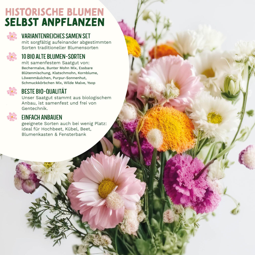 BIO Historische Blumen Samen Set