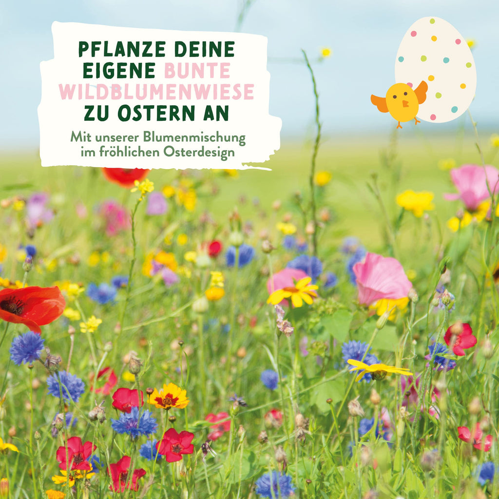 Oster-Samentütchen Wildblumenwiese
