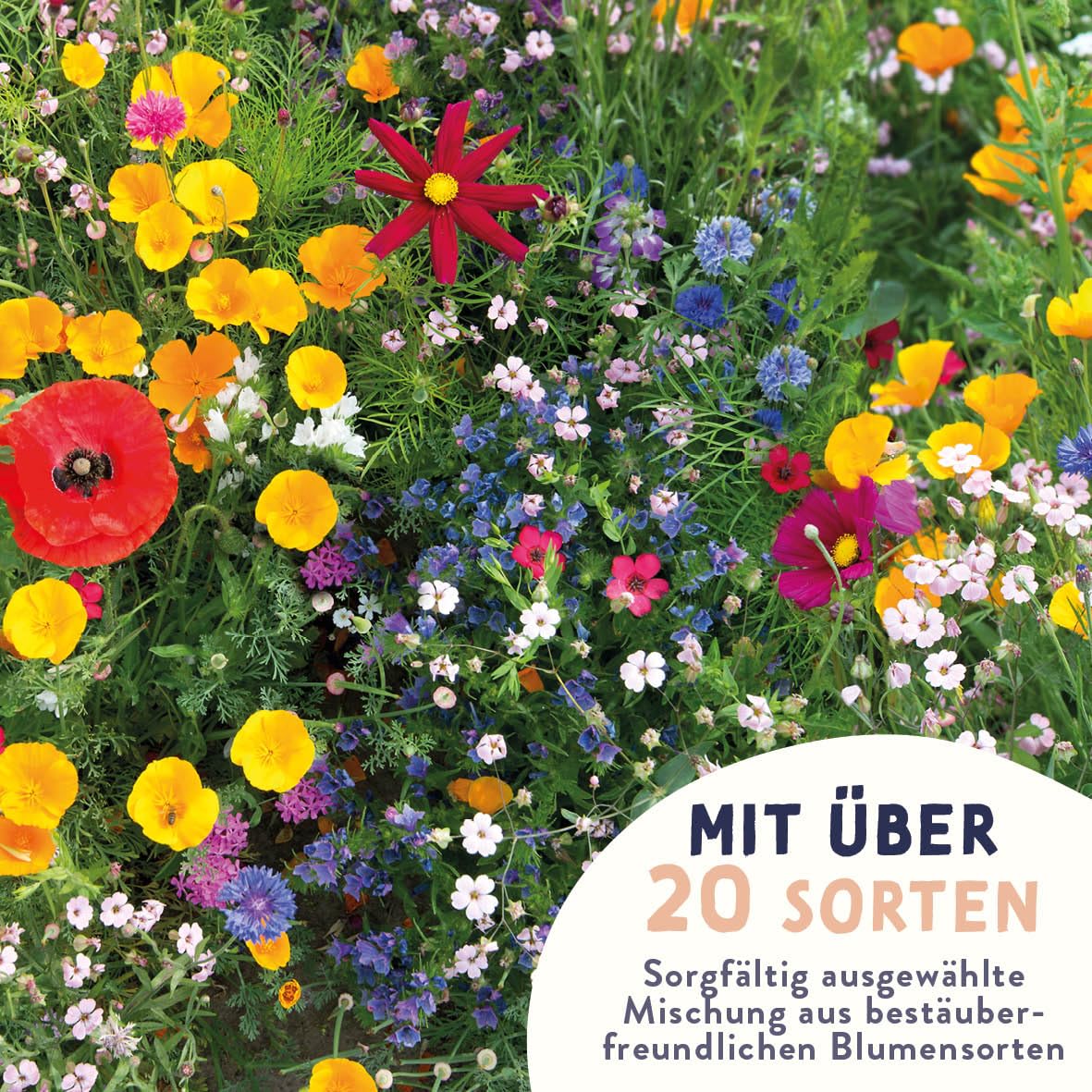 Bienen- & Schmetterlings-Zauber mini