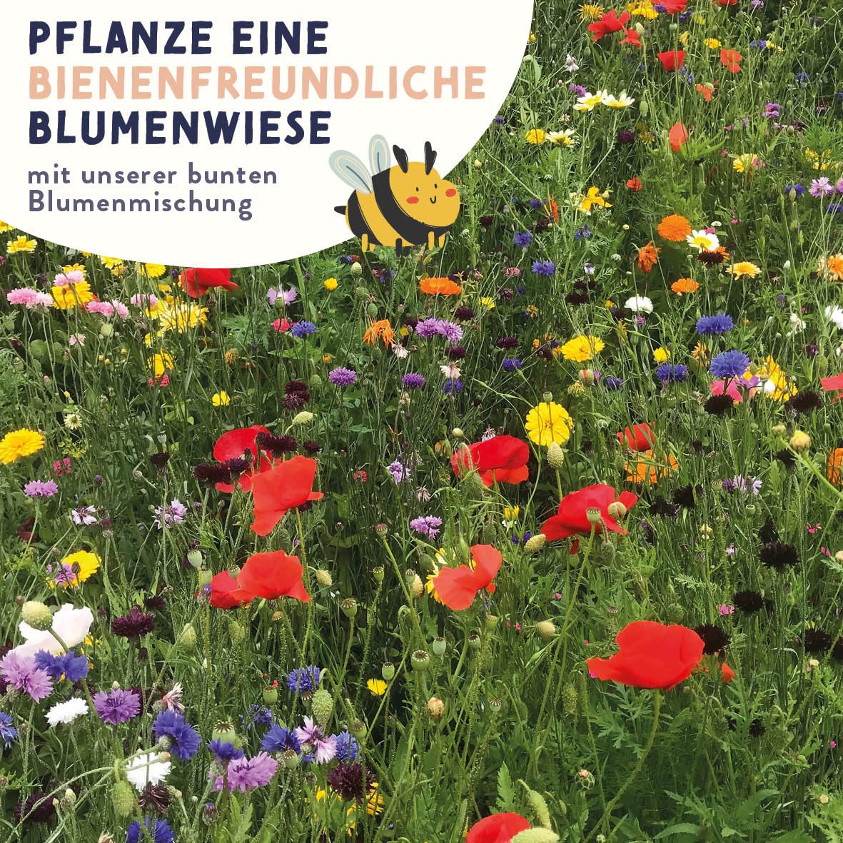Bienen- & Schmetterlings-Zauber mini