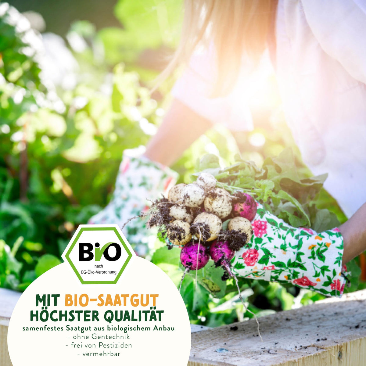 BIO Gemüse Samen Set