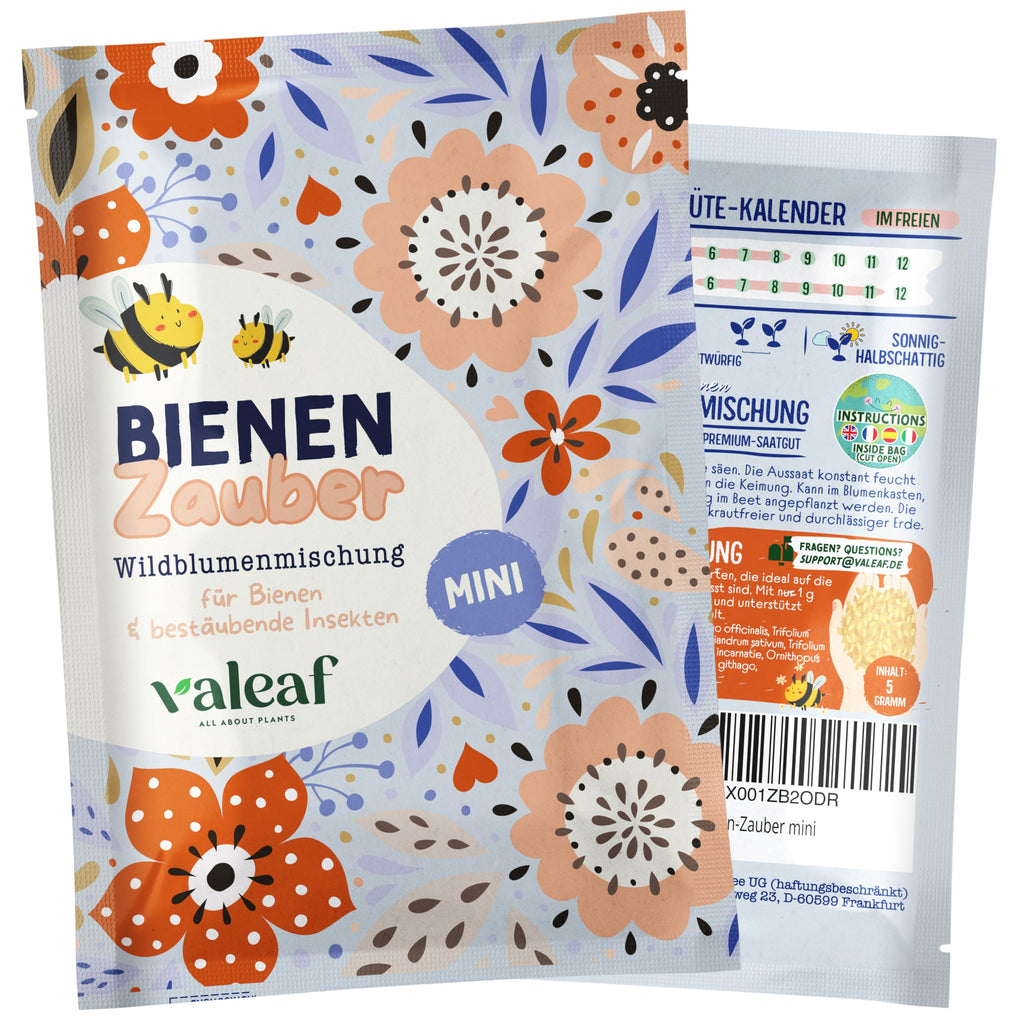 Bienen- & Schmetterlings-Zauber mini