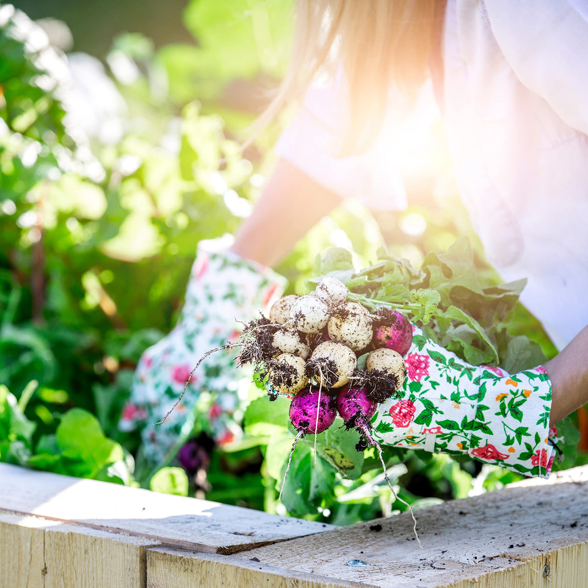 BIO Gartenjahr Samen Set