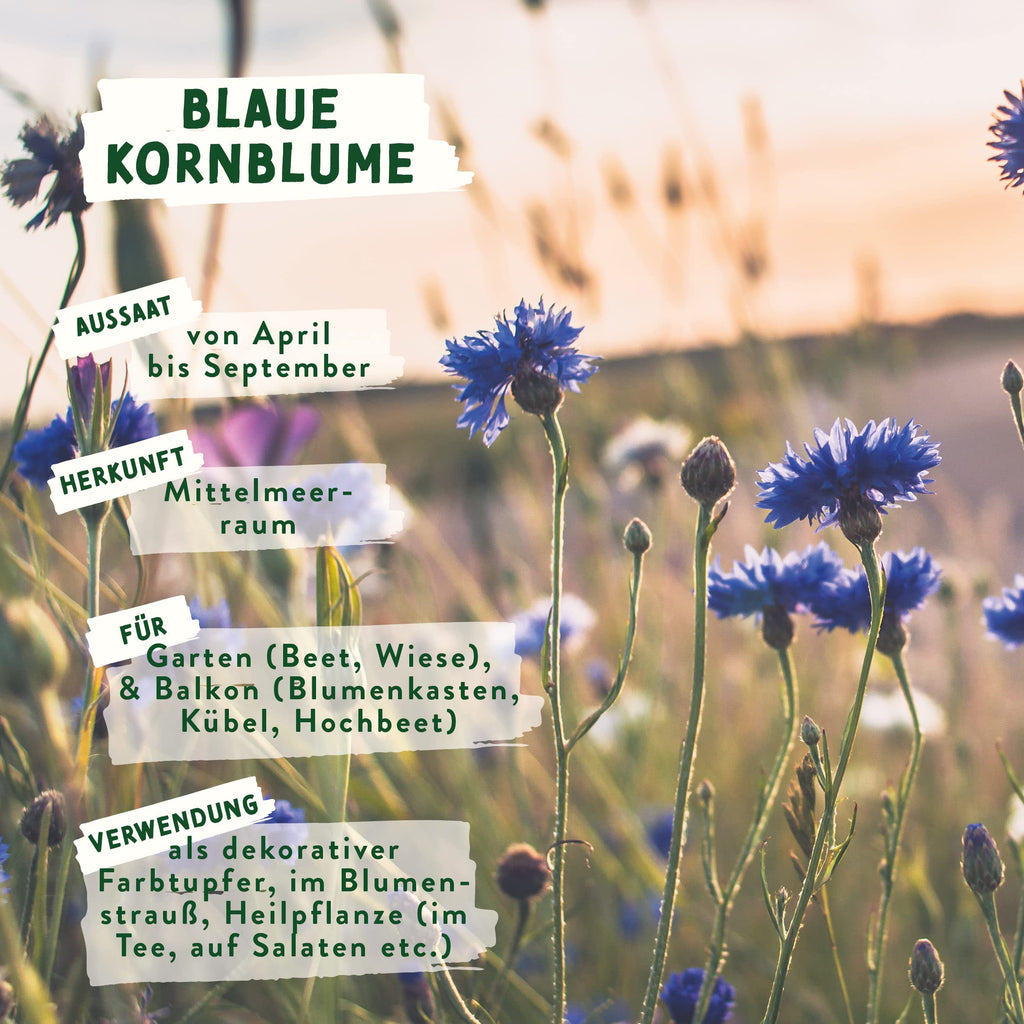 BIO Wildblumen Samen – Einzeltütchen