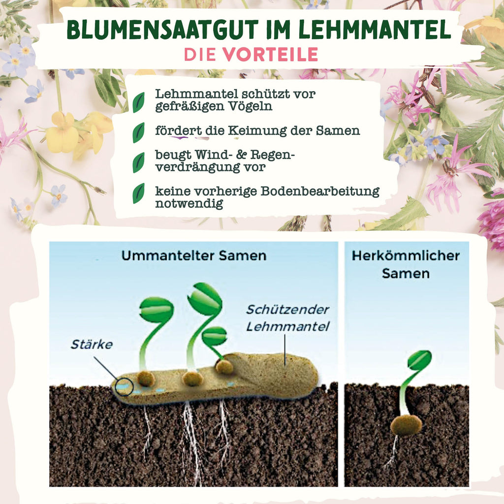 Wildblumensamen im Lehmmantel