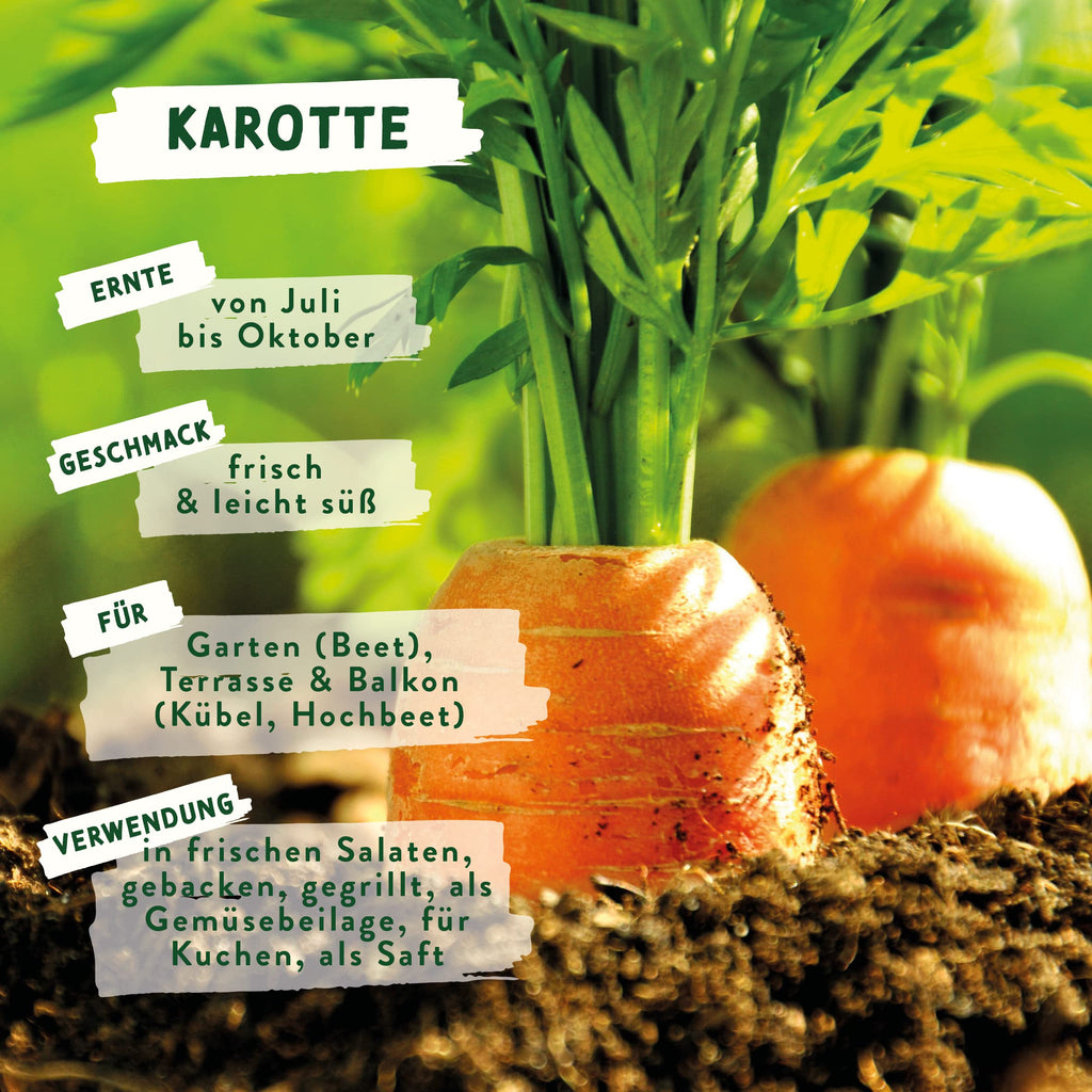 BIO Gemüse Samen – Einzeltütchen