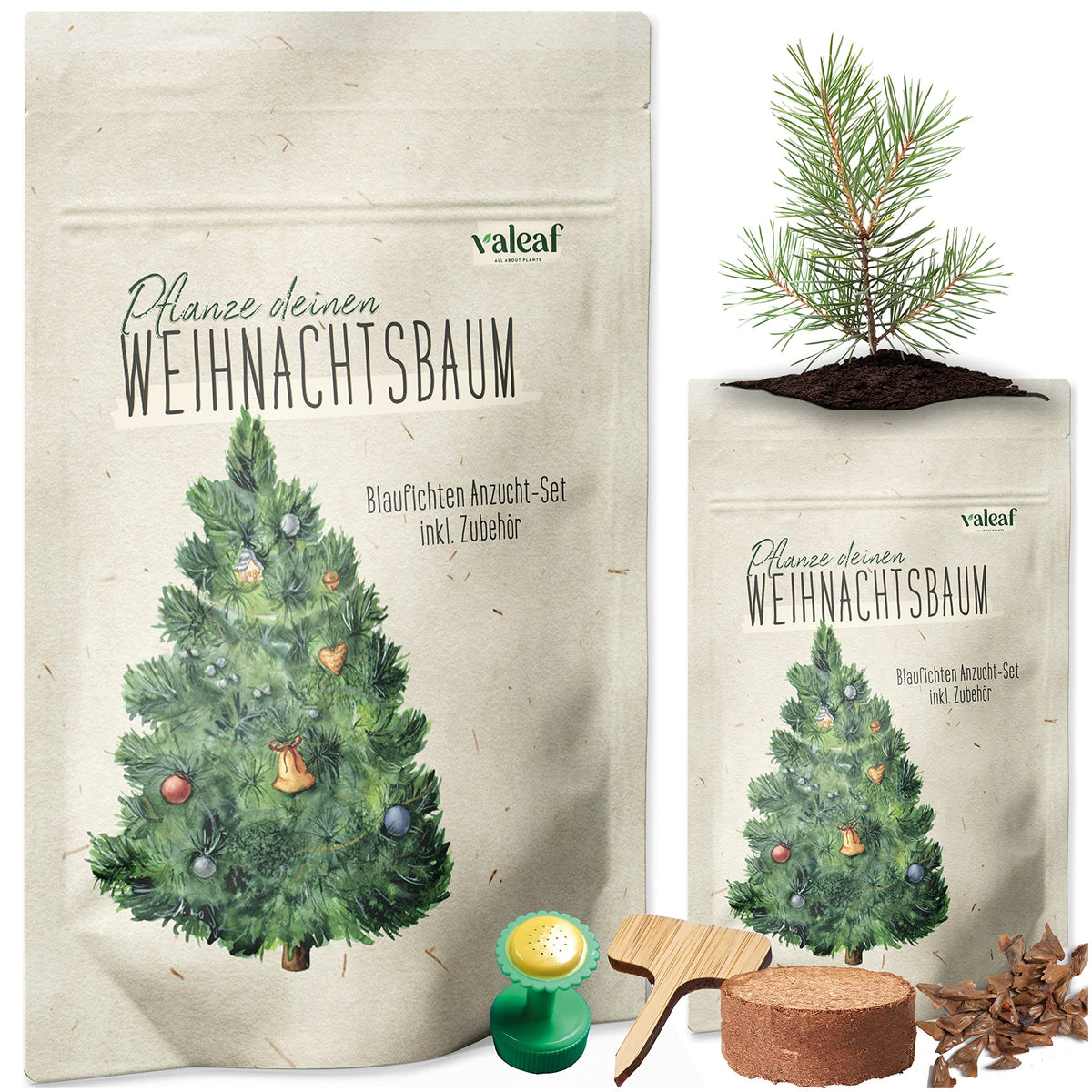 Weihnachtsbaum aus der Dose – Blaufichte – Design 2