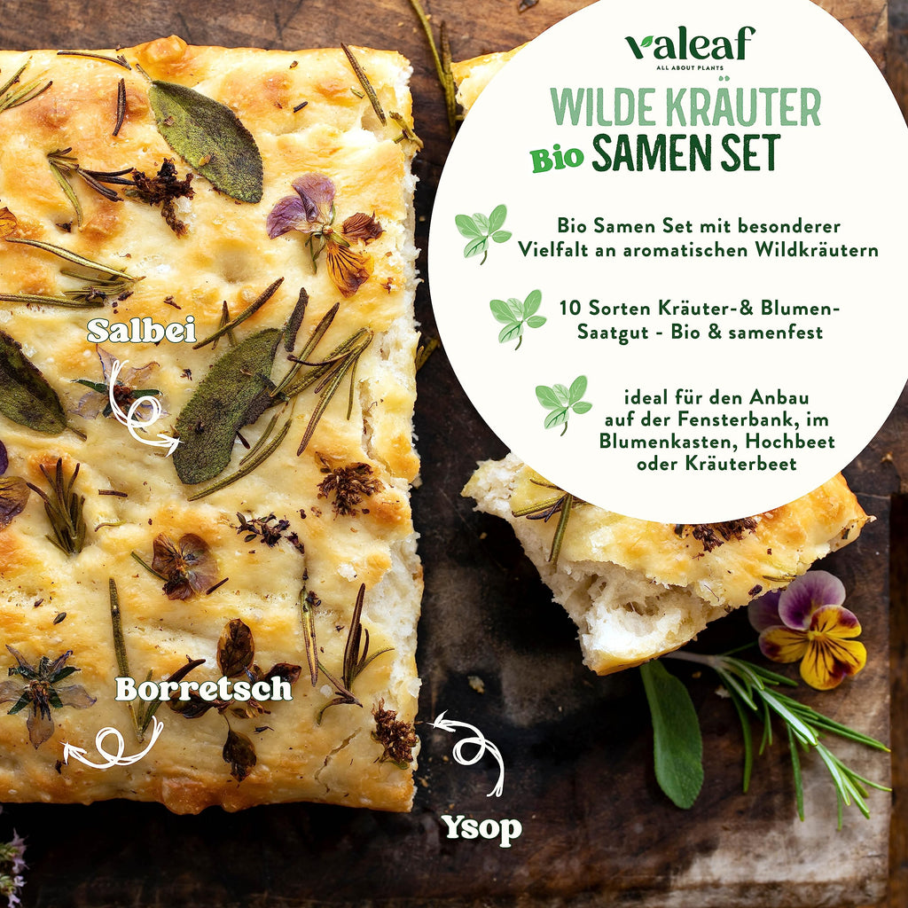 BIO Wildkräuter Samen Set