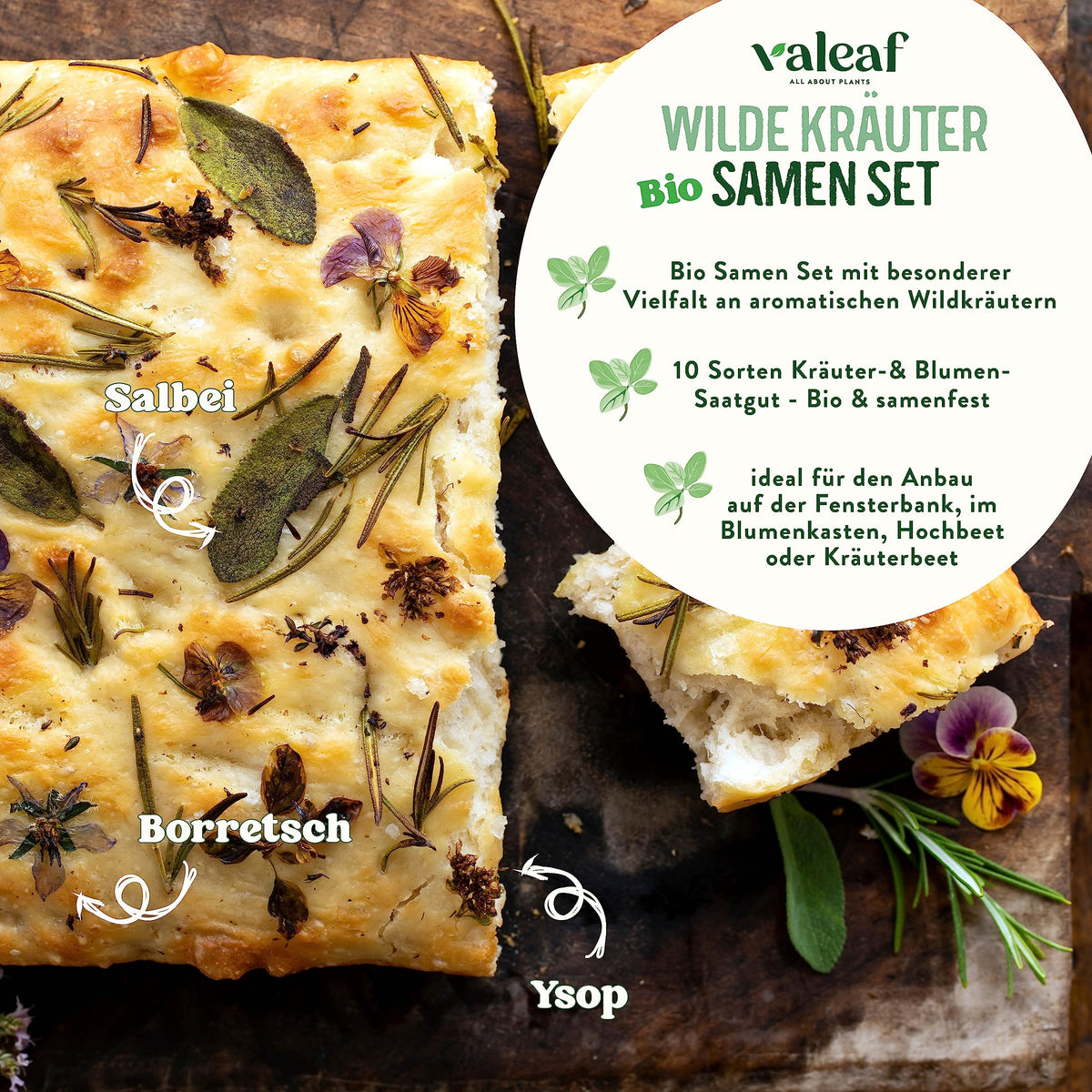 BIO Wildkräuter Samen Set