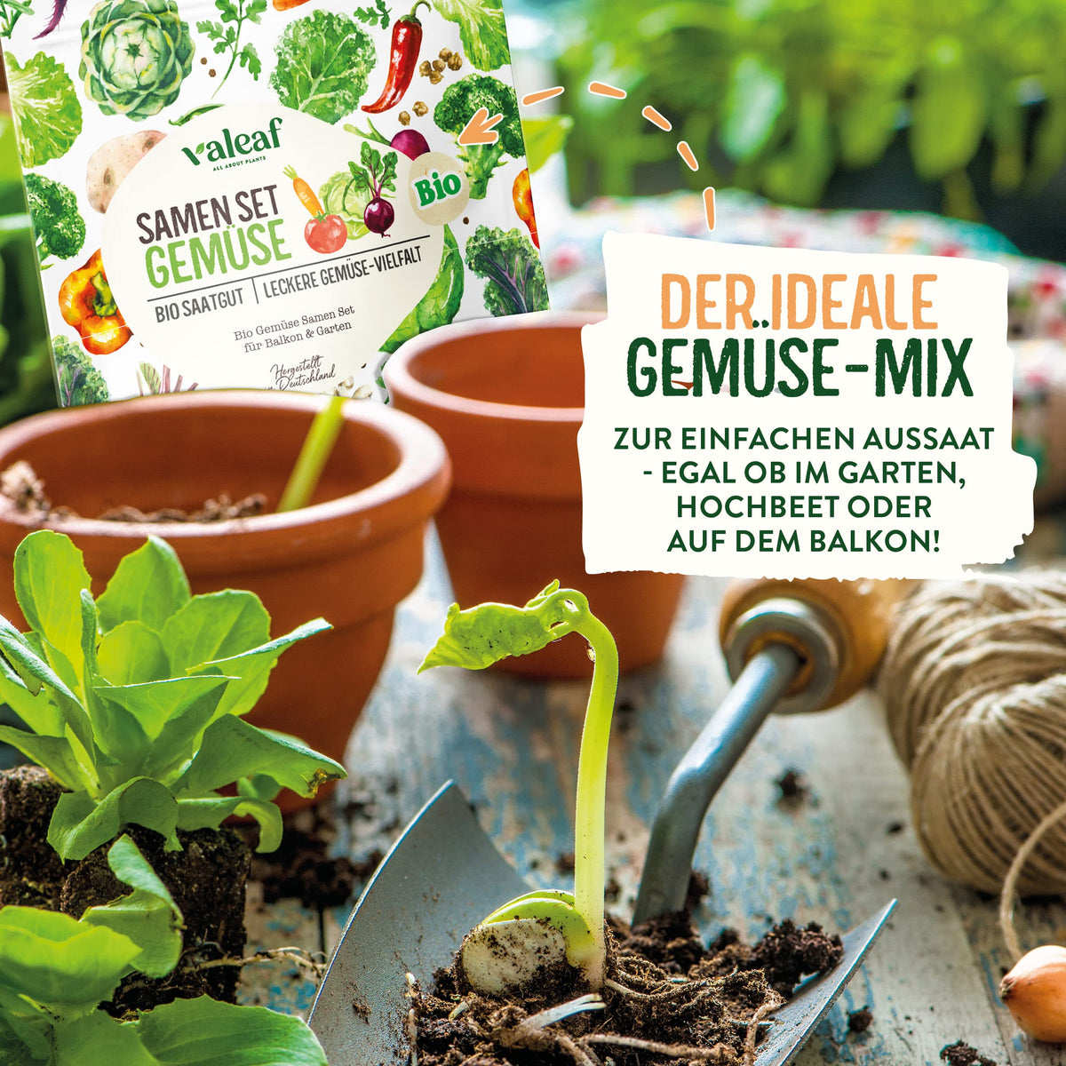 BIO Mini Gemüse Samen Set