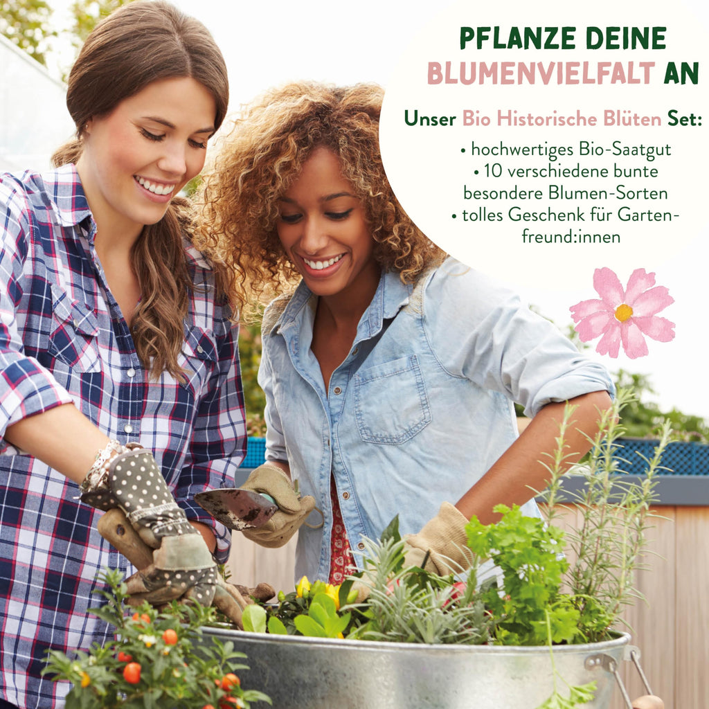 BIO Historische Blumen Samen Set