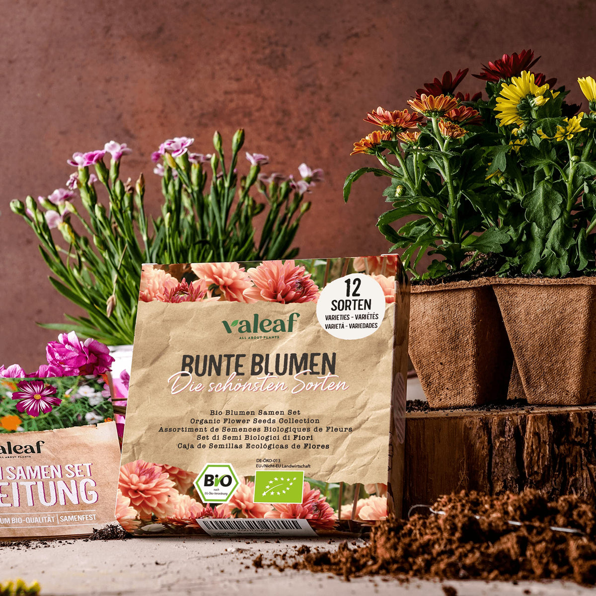 BIO Blumen Samen Set – Bunte Blumen