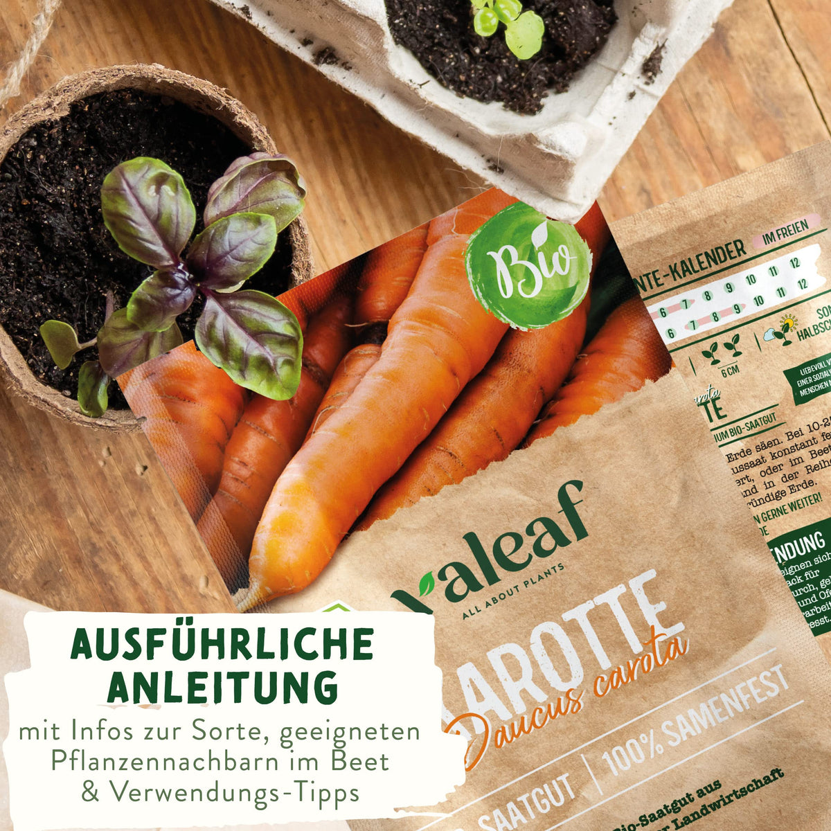 BIO Gemüse Samen – Einzeltütchen