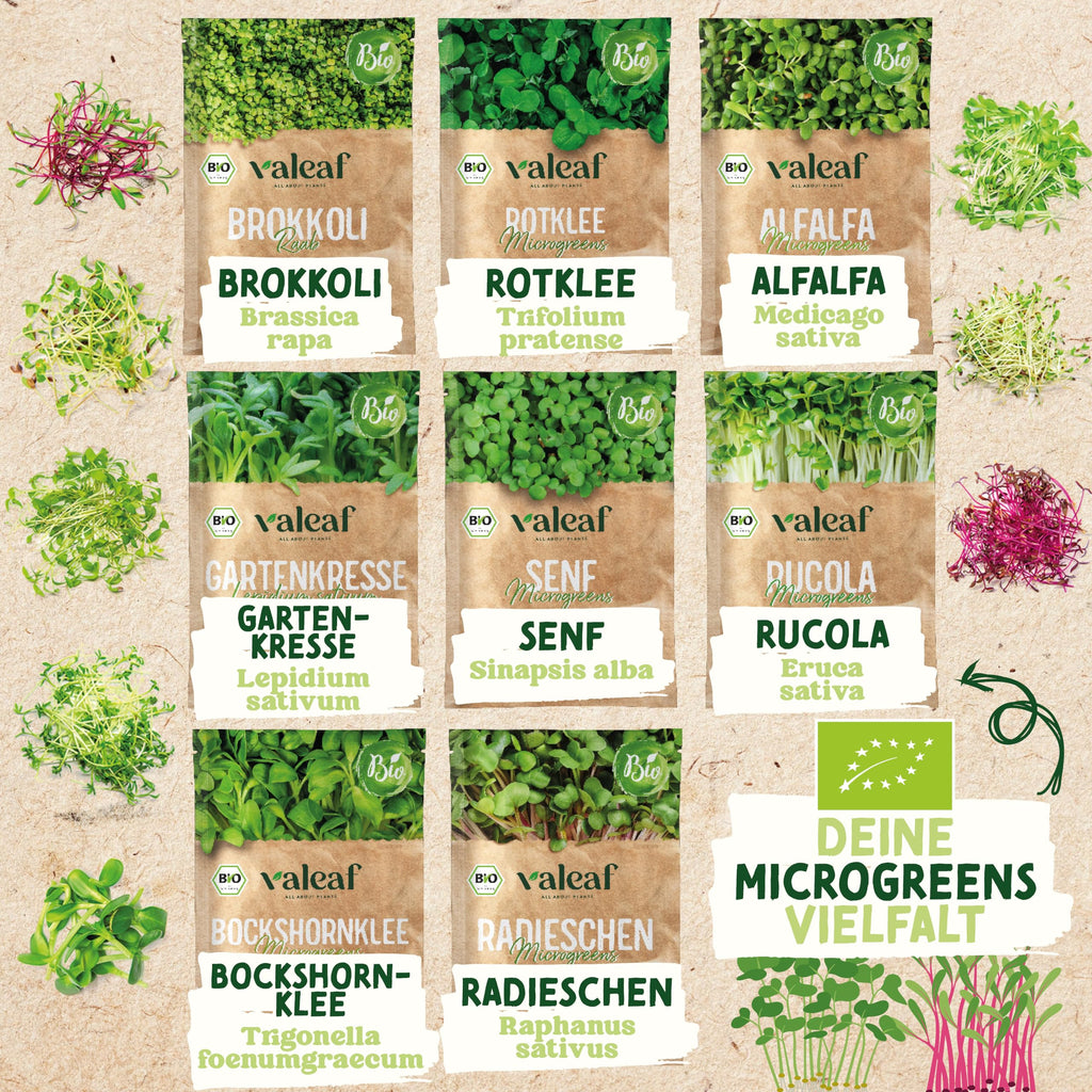 BIO Microgreens Set