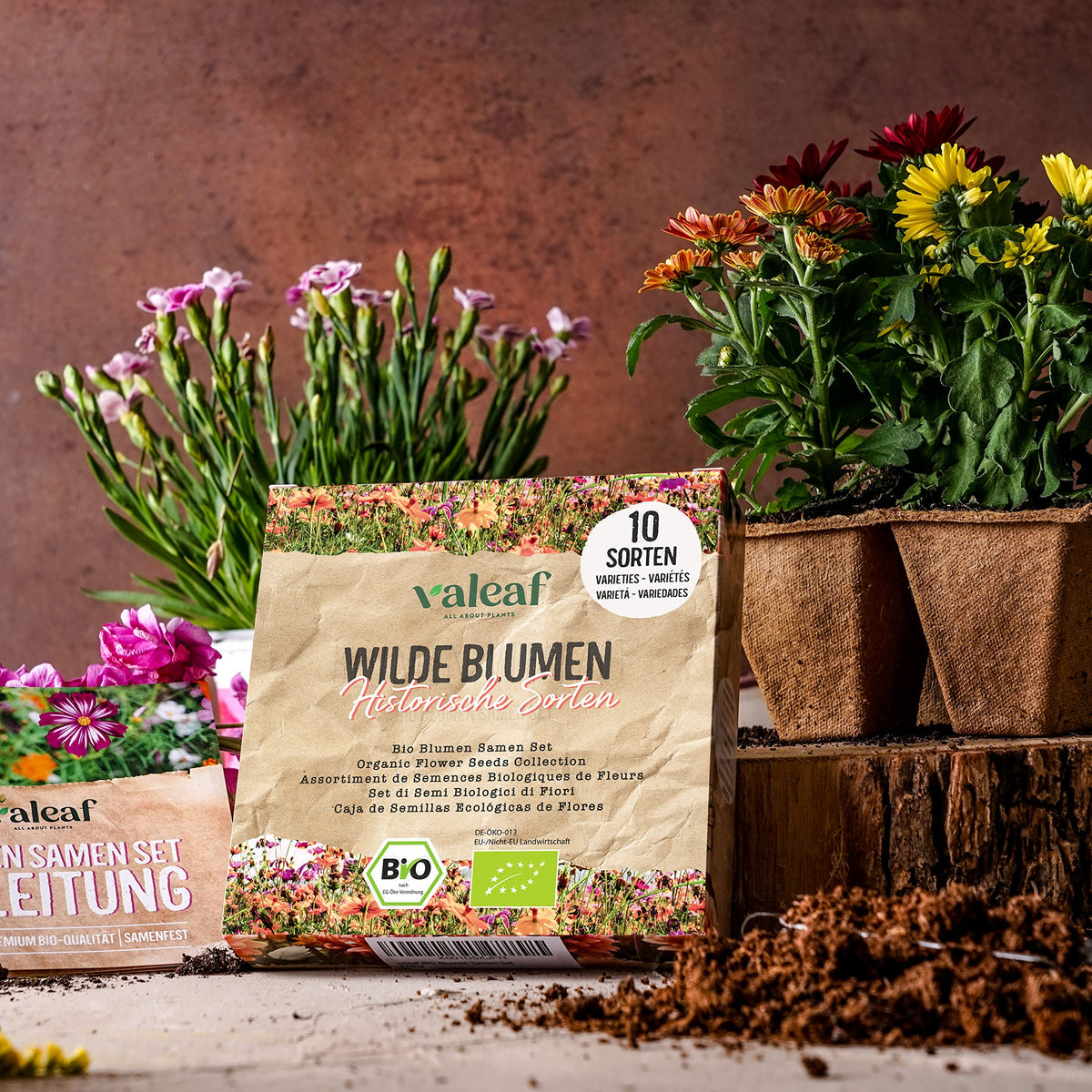 BIO Wilde Blumen Samen Set