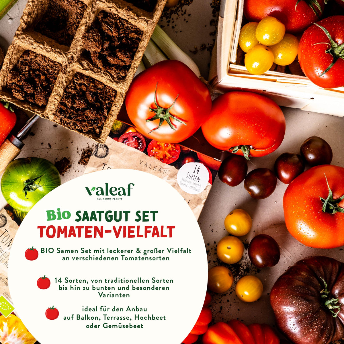 BIO Tomaten Samen Set