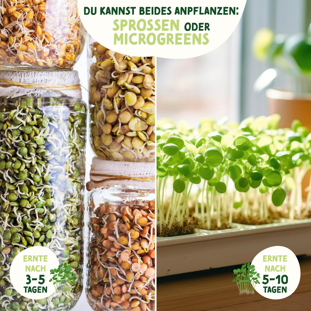 BIO Microgreens Set