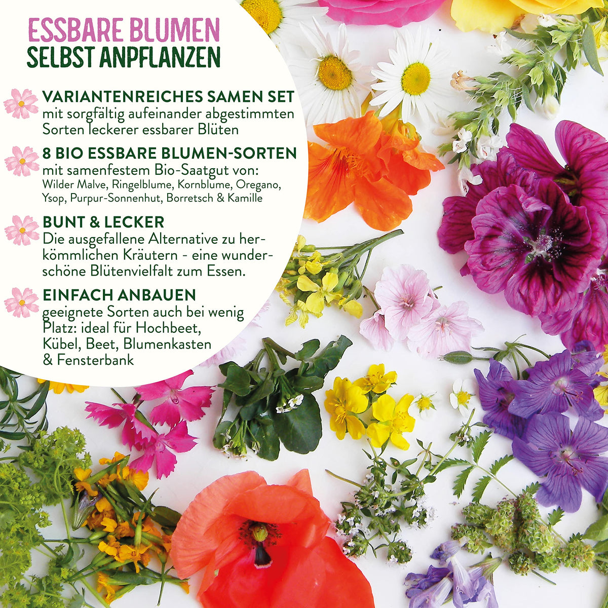BIO Essbare Blüten Samen Set