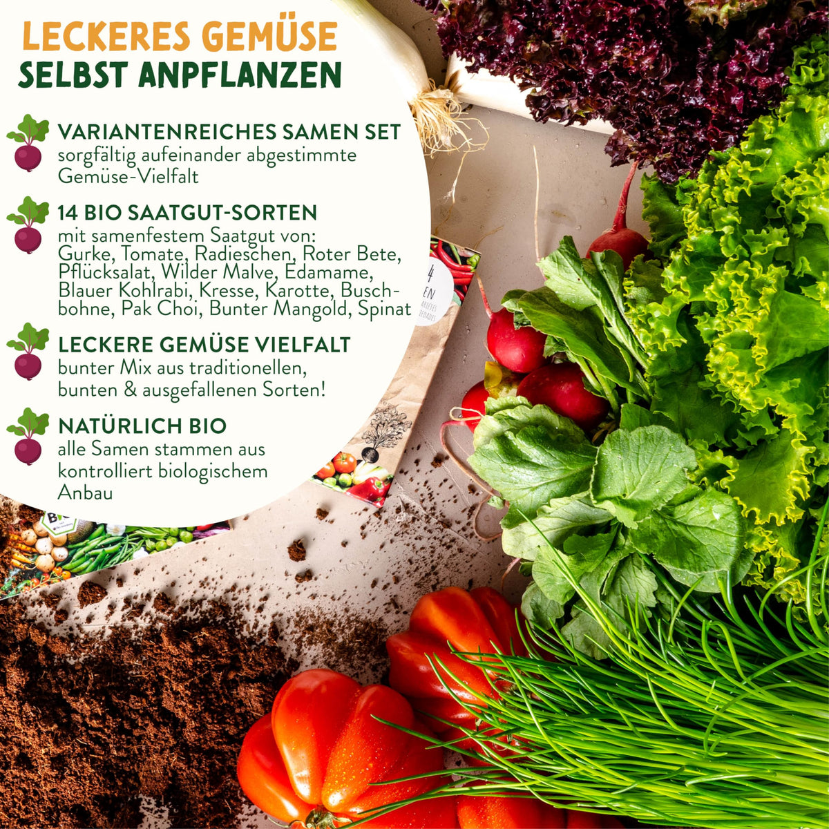 BIO Gemüse Samen Set