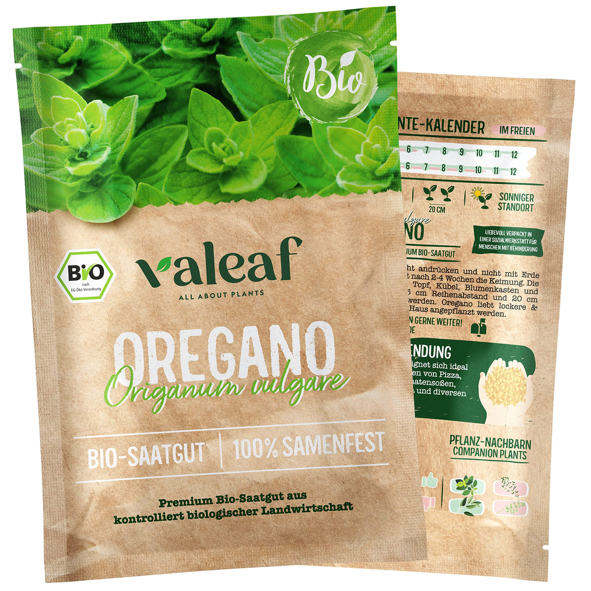 BIO Kräuter Samen – Einzeltütchen – Oregano