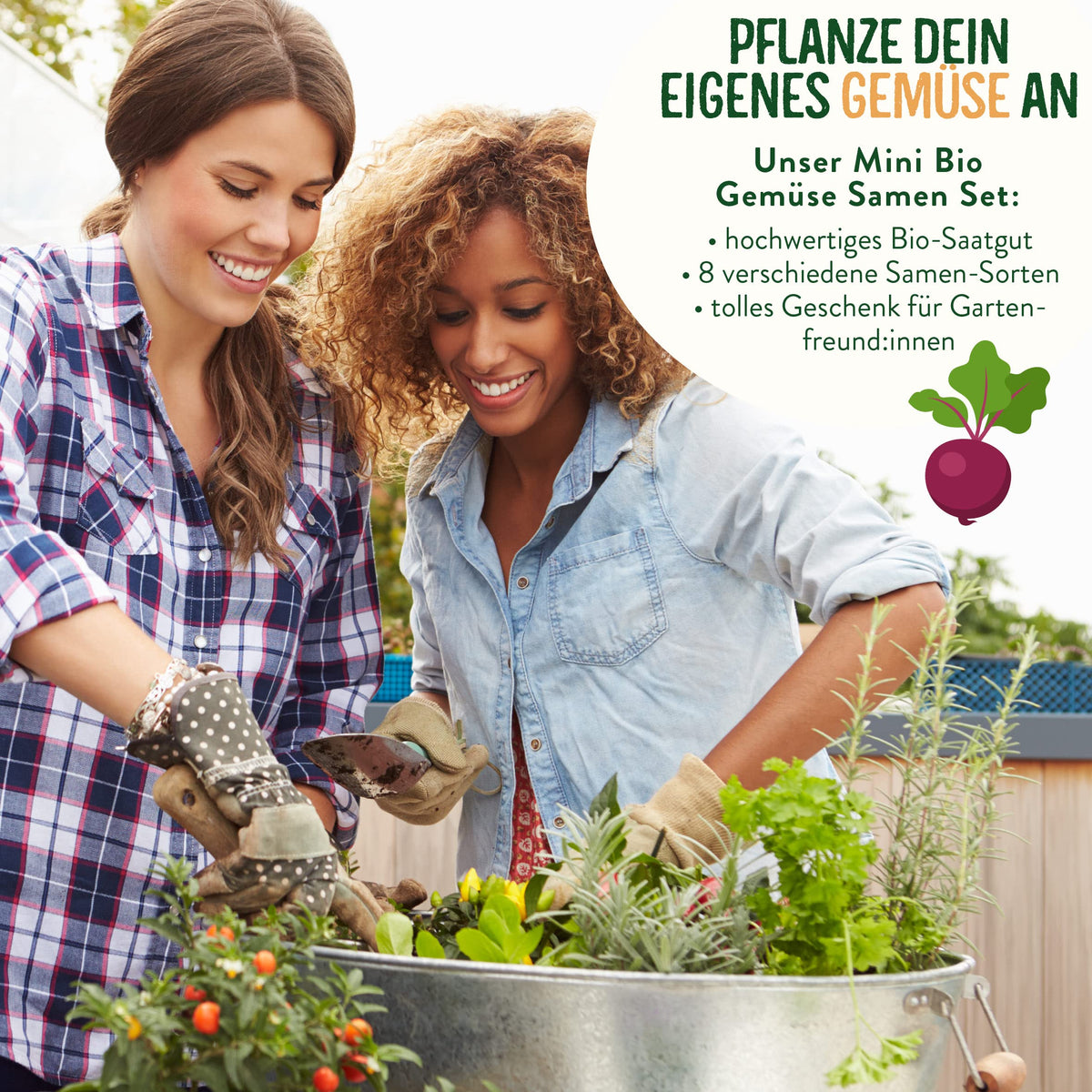 BIO Mini Gemüse Samen Set