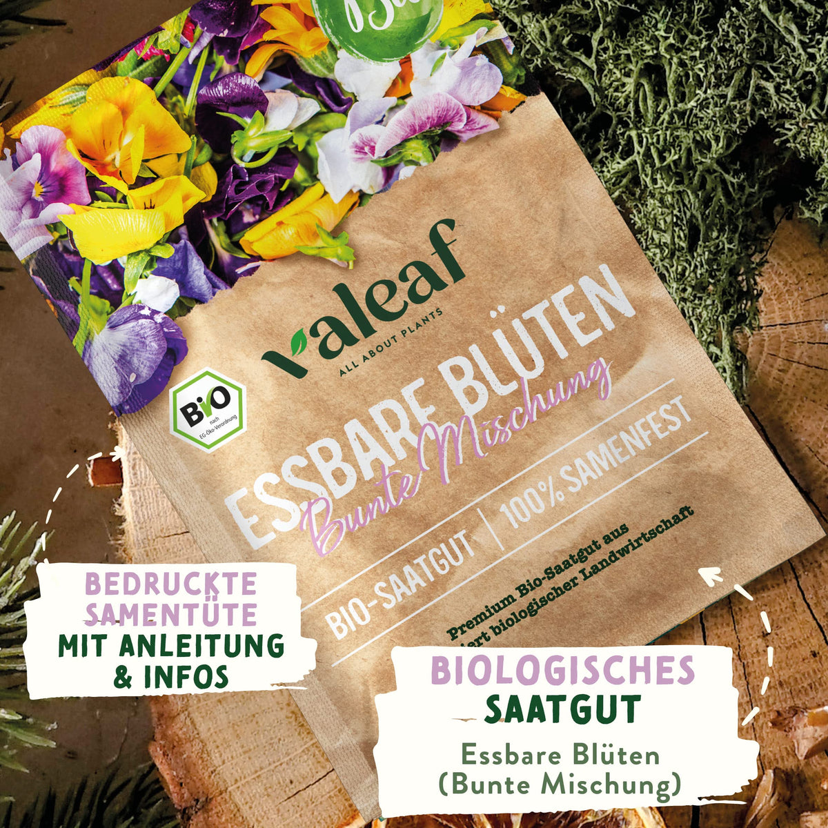 BIO Kräuter Samen – Einzeltütchen