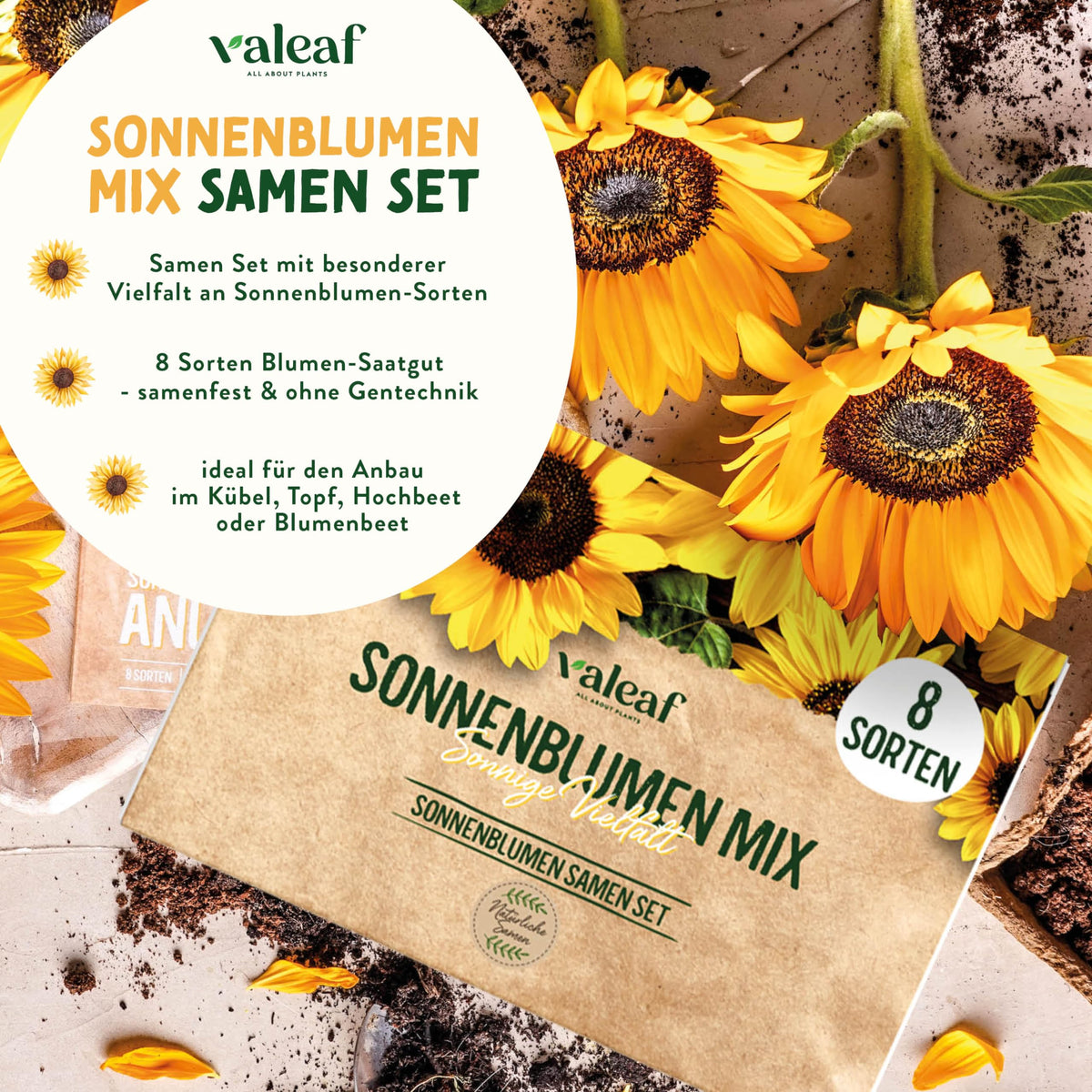 Sonnenblumen Samen Set