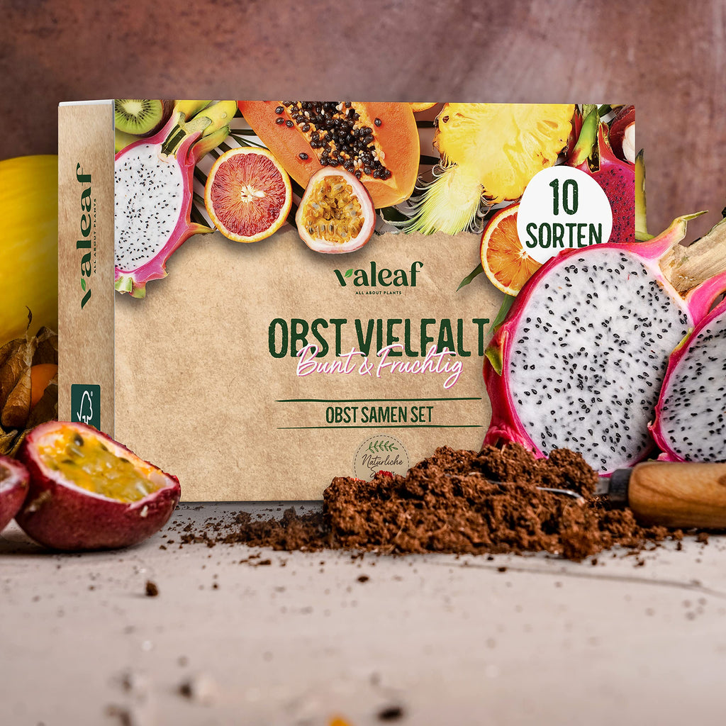 Obst Samen Set