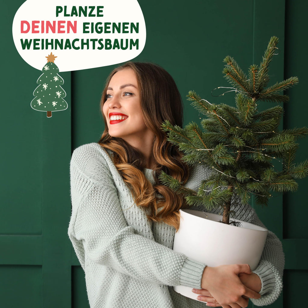 Weihnachtsbaum aus der Dose