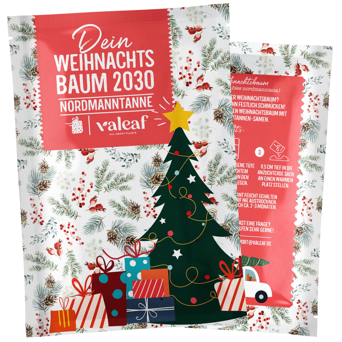 Weihnachtsbaum Samentütchen als Geschenk – Weihnachtsbaum 2030 – Nordmanntanne