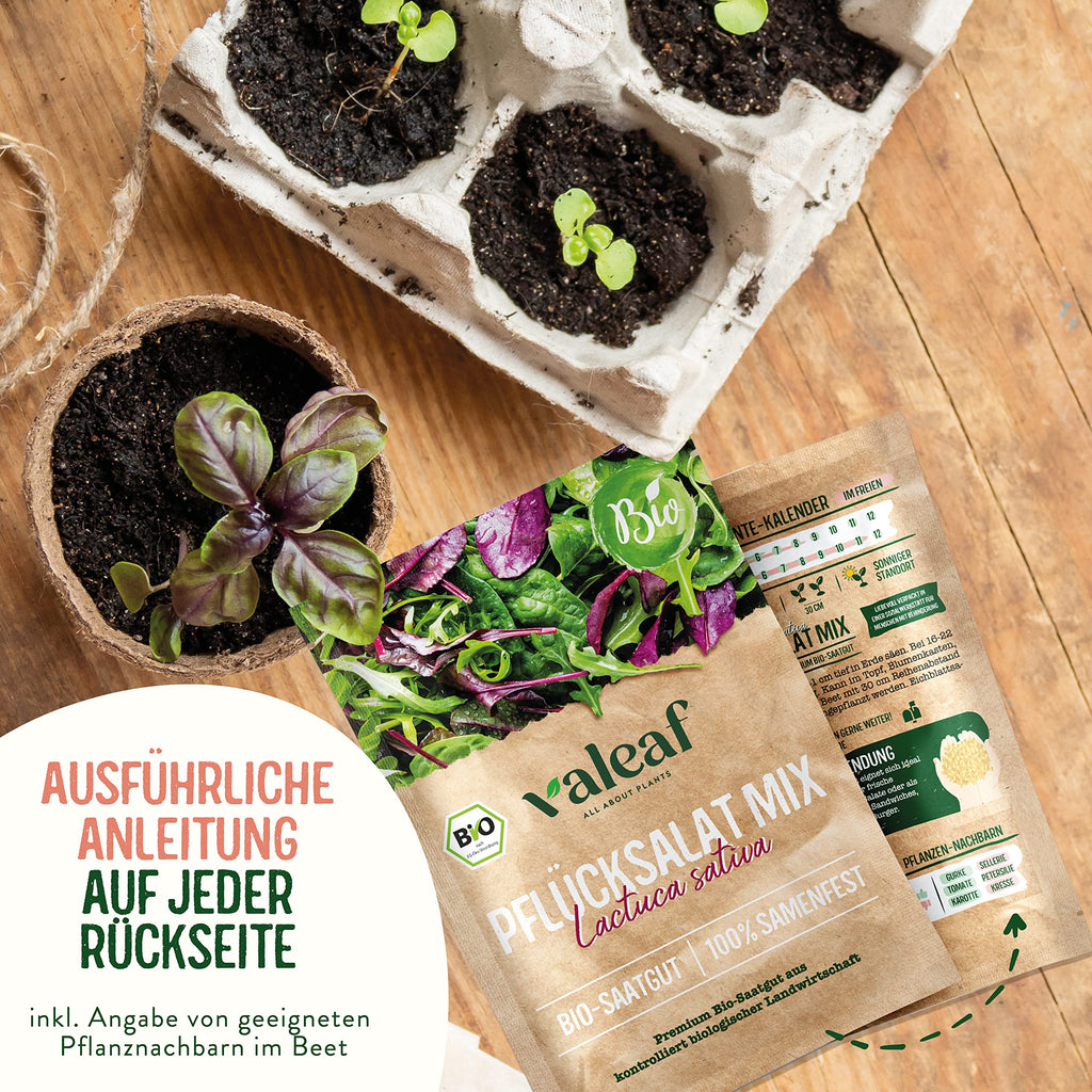 BIO Gemüse Samen Set für Kinder