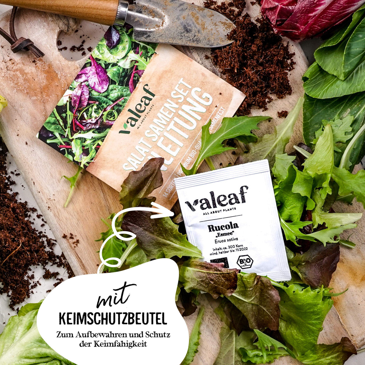 BIO Salat Samen Set