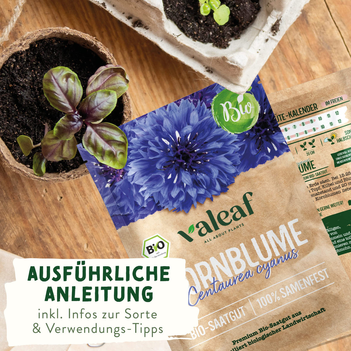 BIO Wildblumen Samen – Einzeltütchen