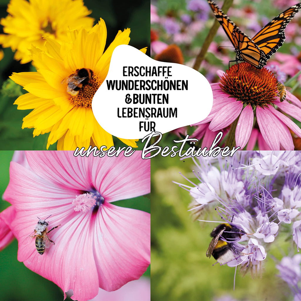BIO Wilde Blumen Samen Set