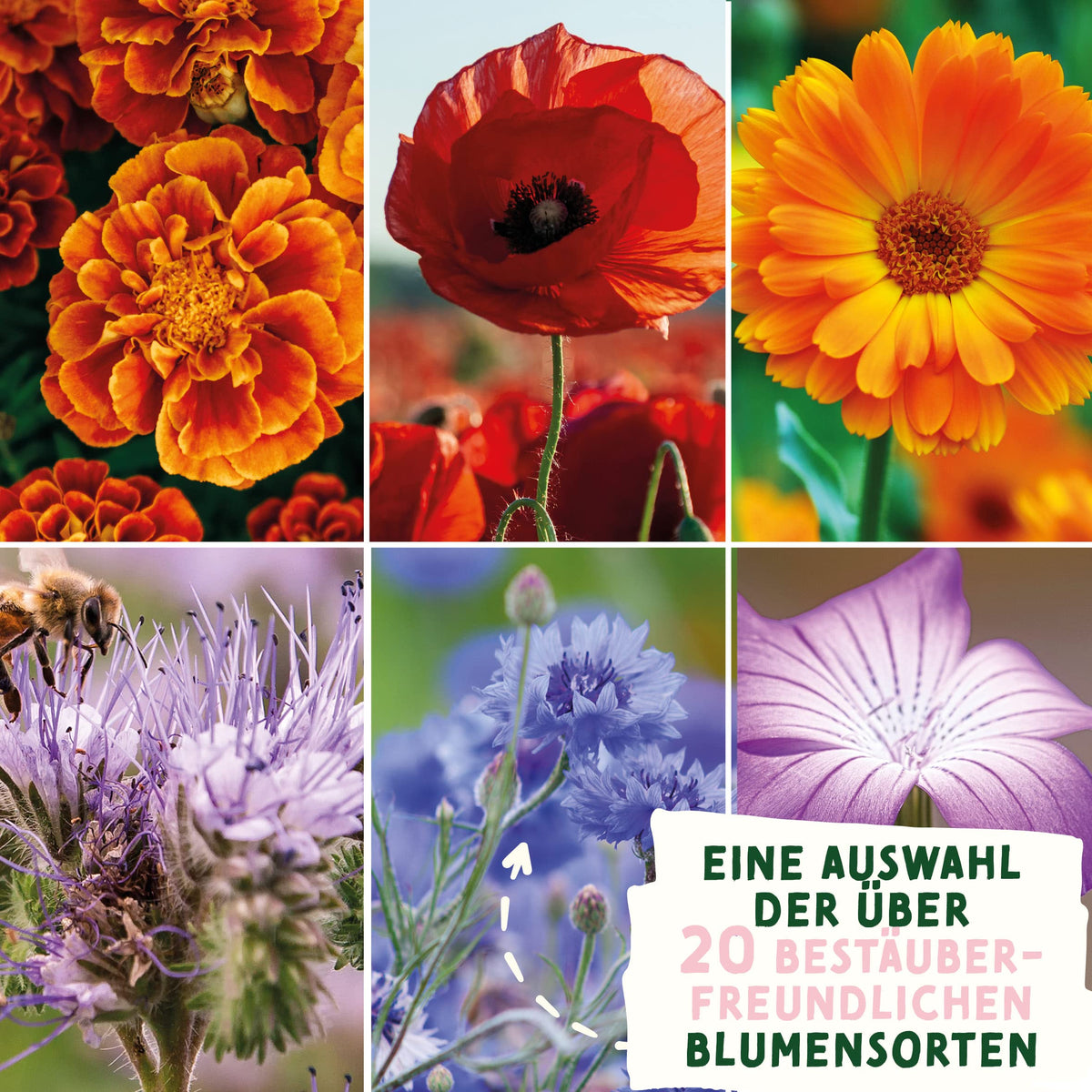 Oster-Samentütchen Wildblumenwiese