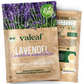 BIO Lavendel Samen