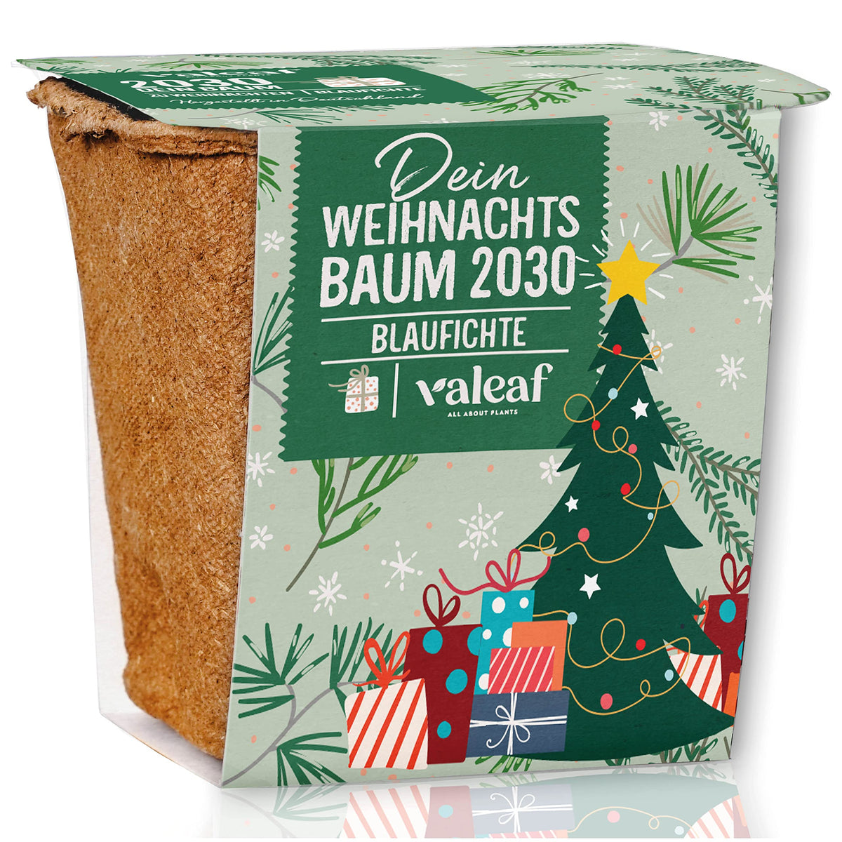 Weihnachtsbaum aus der Dose – Blaufichte – Design 1