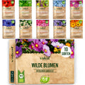 BIO Wilde Blumen Samen Set