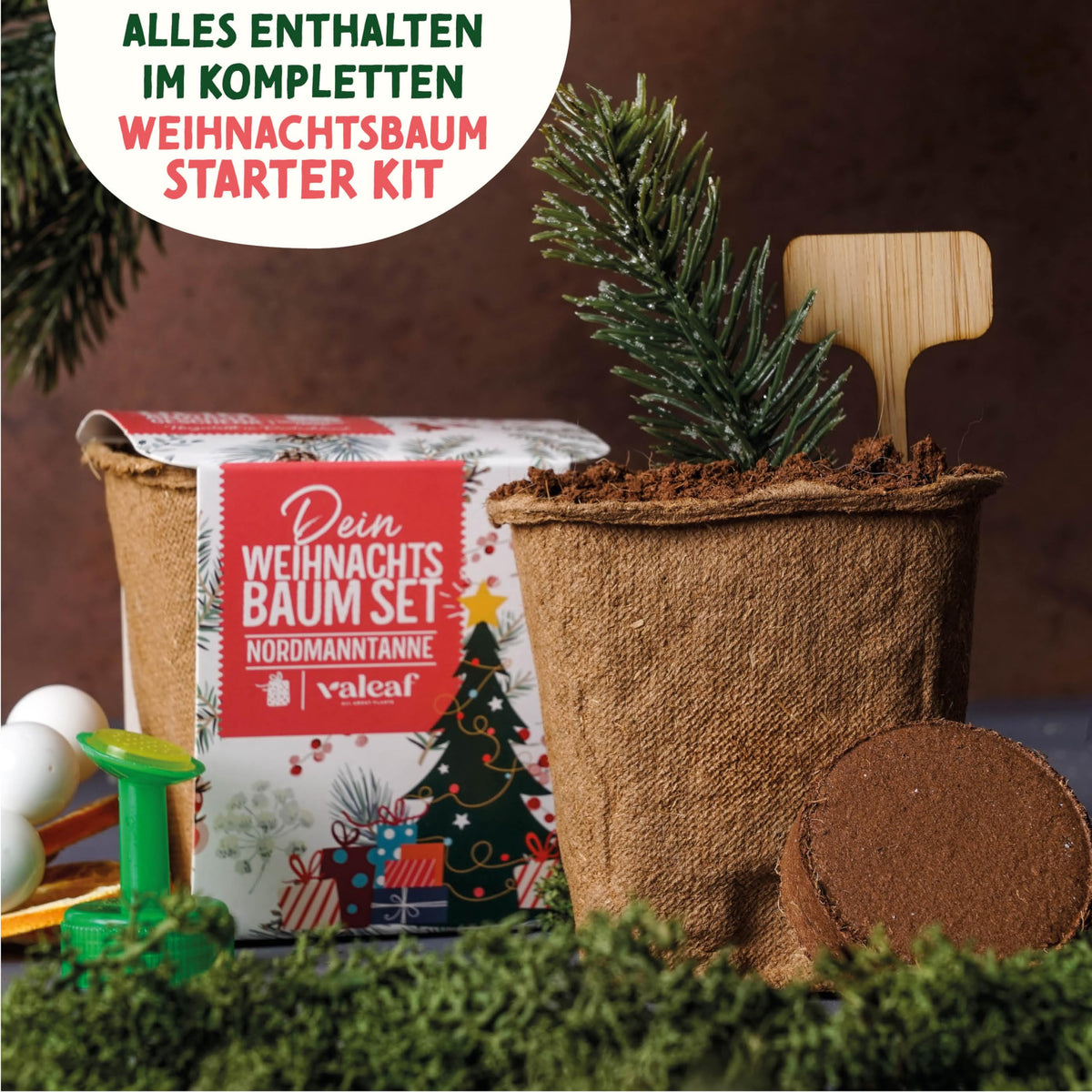 Weihnachtsbaum aus der Dose