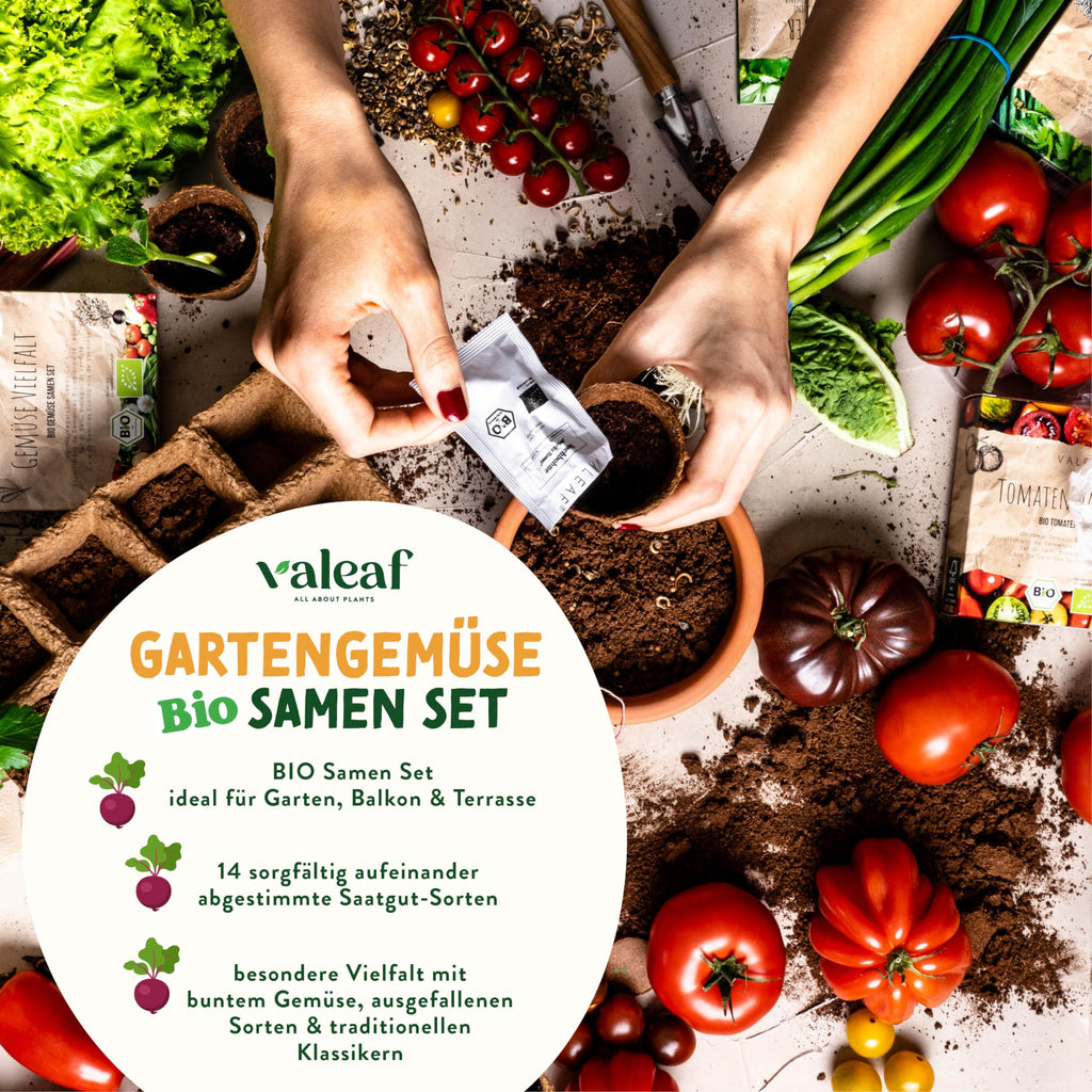 BIO Gemüse Samen Set
