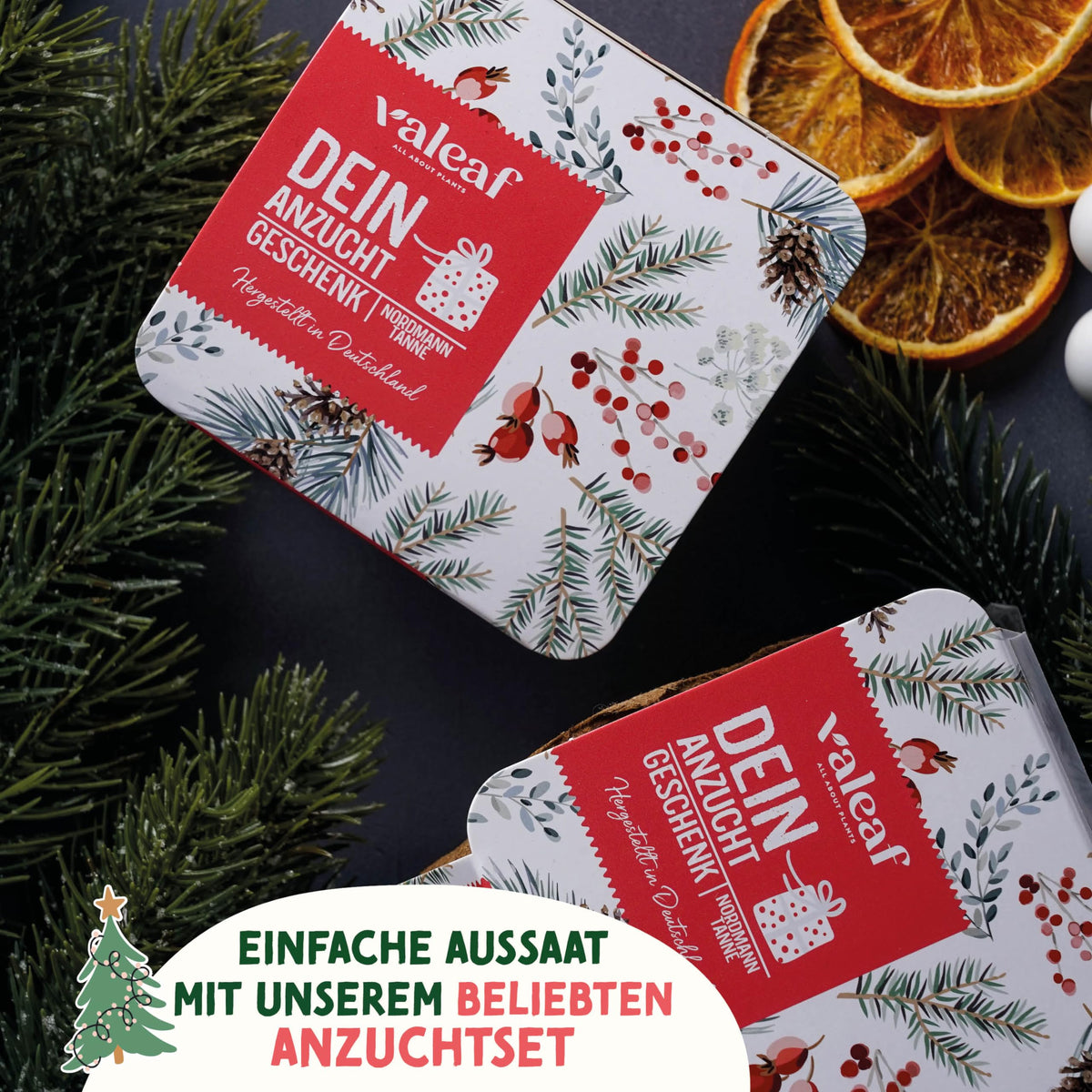 Weihnachtsbaum aus der Dose