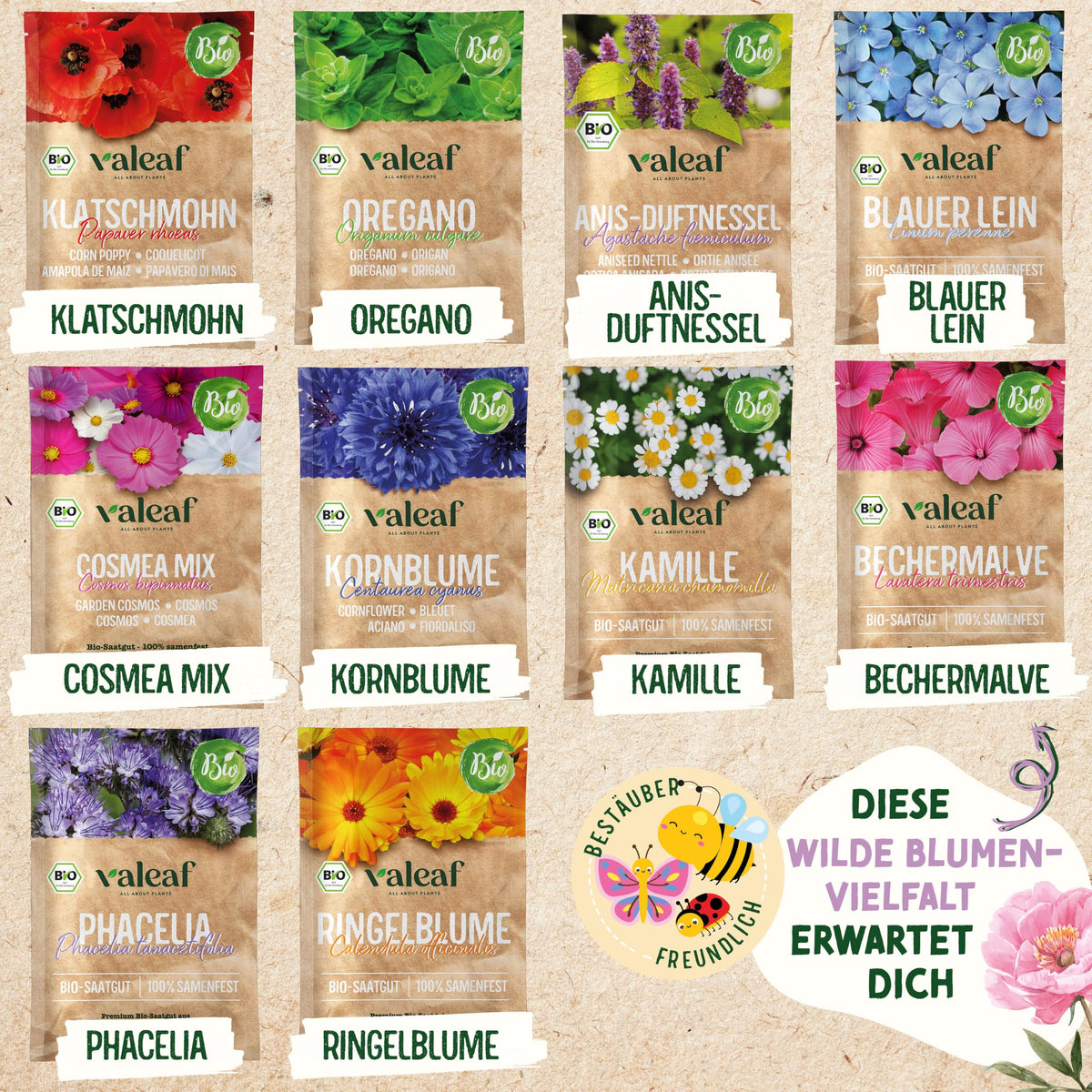 BIO Wilde Blumen Samen Set